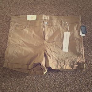 Celebrity Pink Shorts